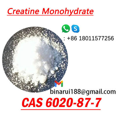 2- ((1-Methylguanidino) acide acétique hydraté CAS 6020-87-7 Monohydrate de créatine